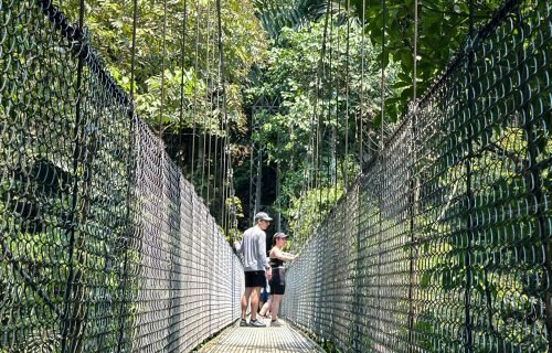 La Fortuna Costa Rica Hanging Bridges photo